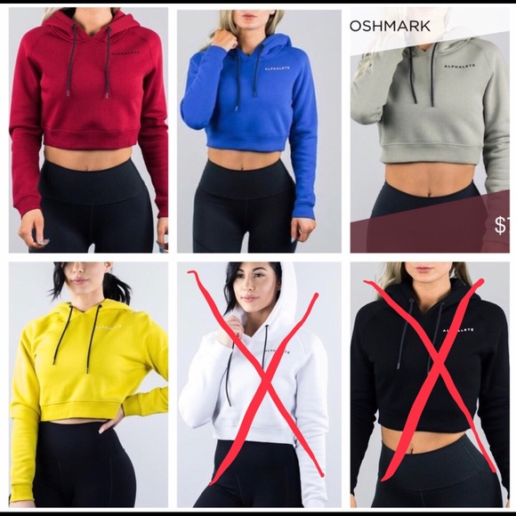 ISO Alphalete Crop Hoodie size SMALL - Picture 1 of 1